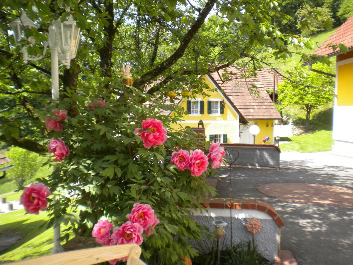 Buchschneider - Ferienhaus Maier - Landhof Schwarzautal Buitenkant foto