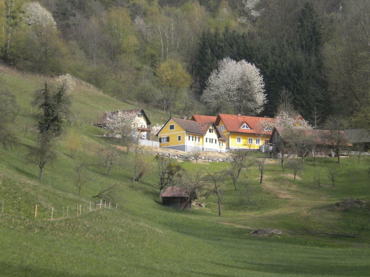 Buchschneider - Ferienhaus Maier - Landhof Schwarzautal Buitenkant foto