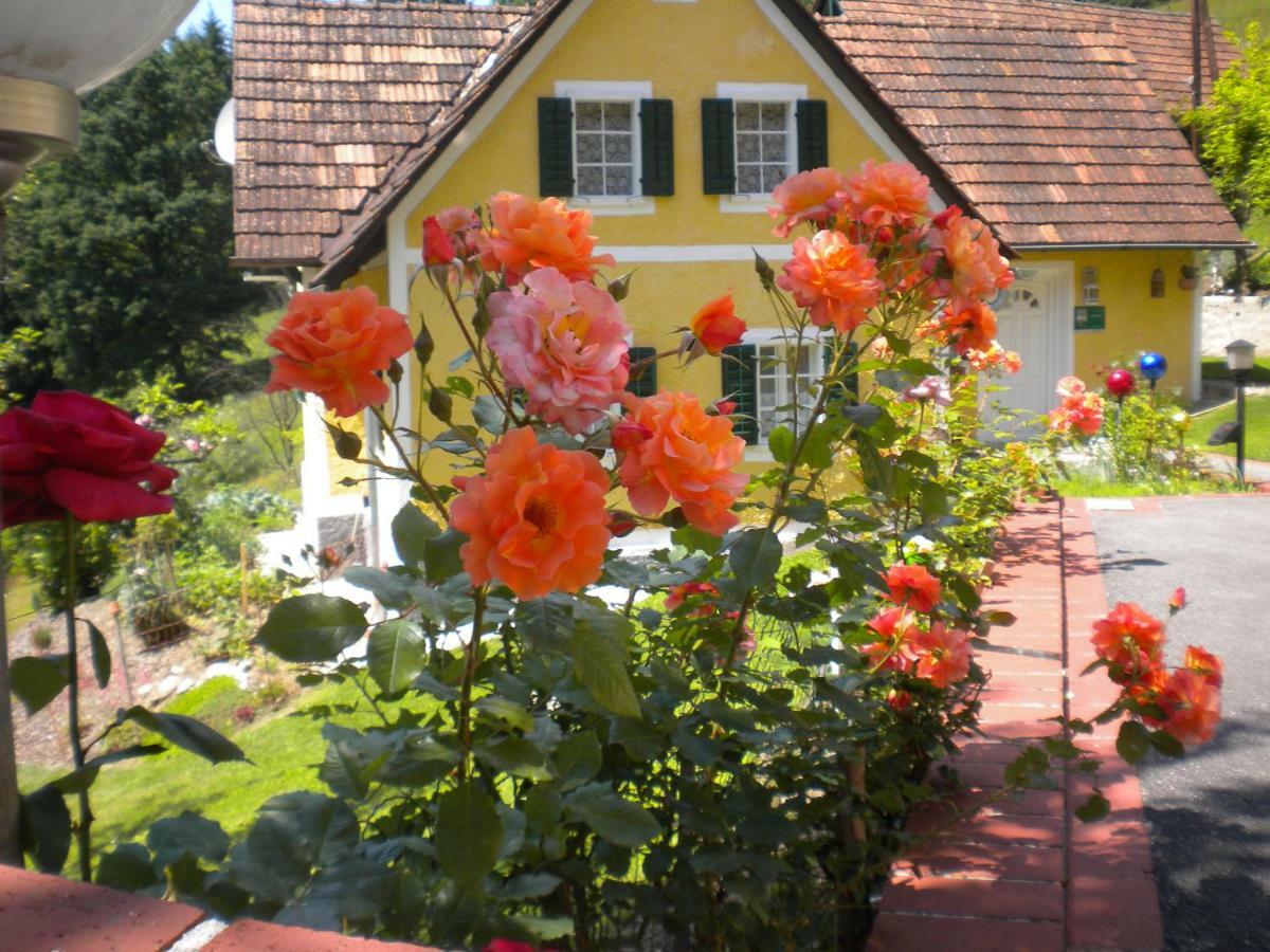 Buchschneider - Ferienhaus Maier - Landhof Schwarzautal Buitenkant foto